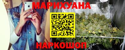 Альфа ПВП Моздок