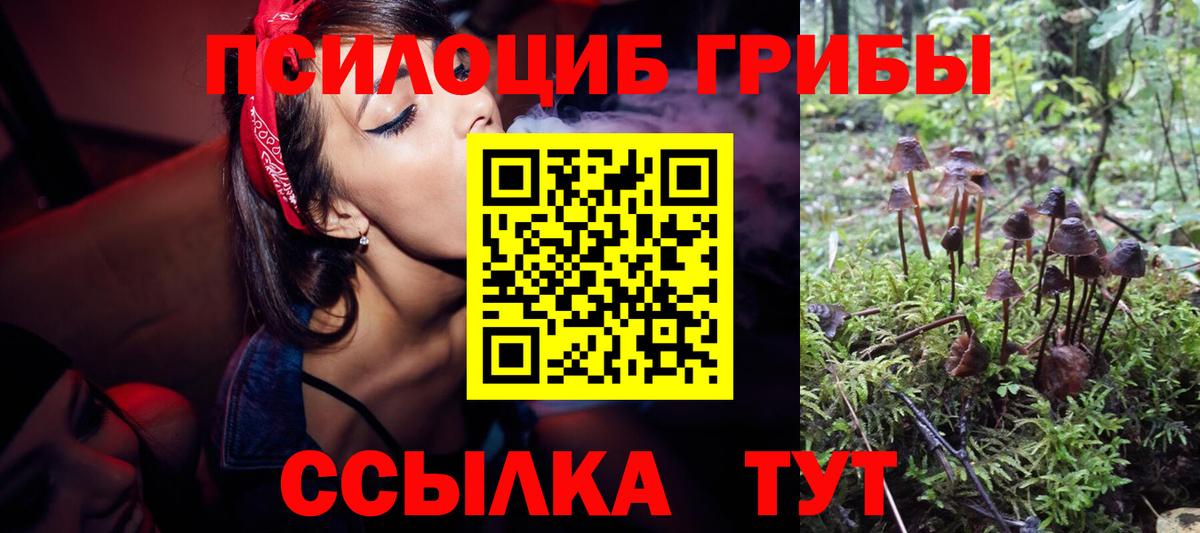 Псилоцибиновые грибы мицелий Ирбит
