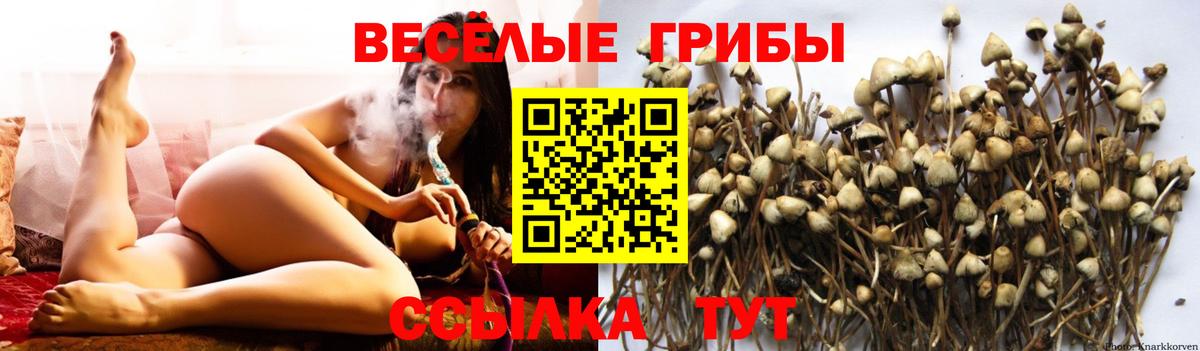 Ирбит  Псилоцибиновые грибы Cubensis  Вход с VPN  Псилоцибиновые грибы MAGIC MUSHROOMS 
